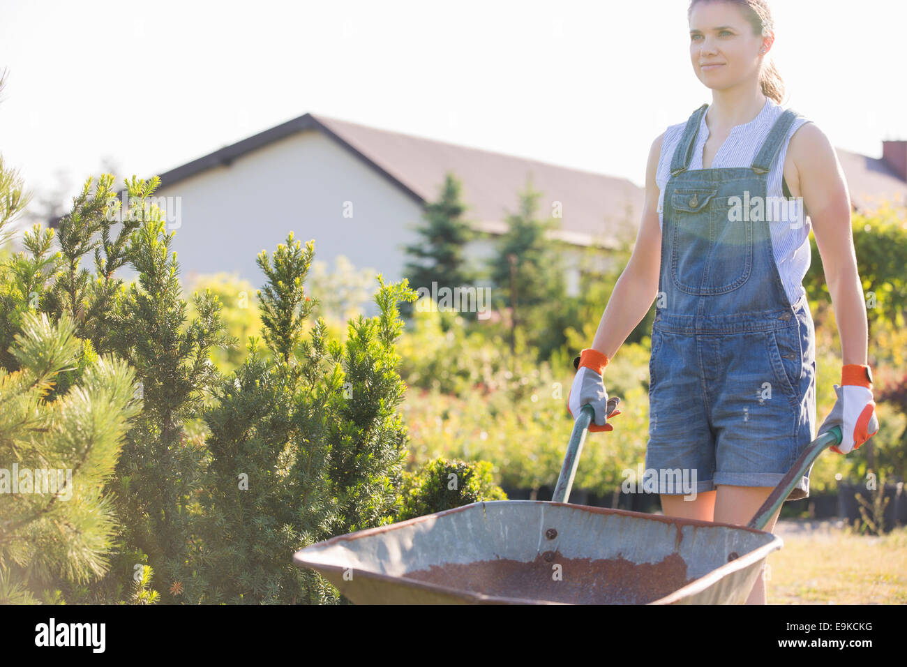 Weibliche Gärtner pushing Schubkarre in Gärtnerei Stockfotografie Alamy