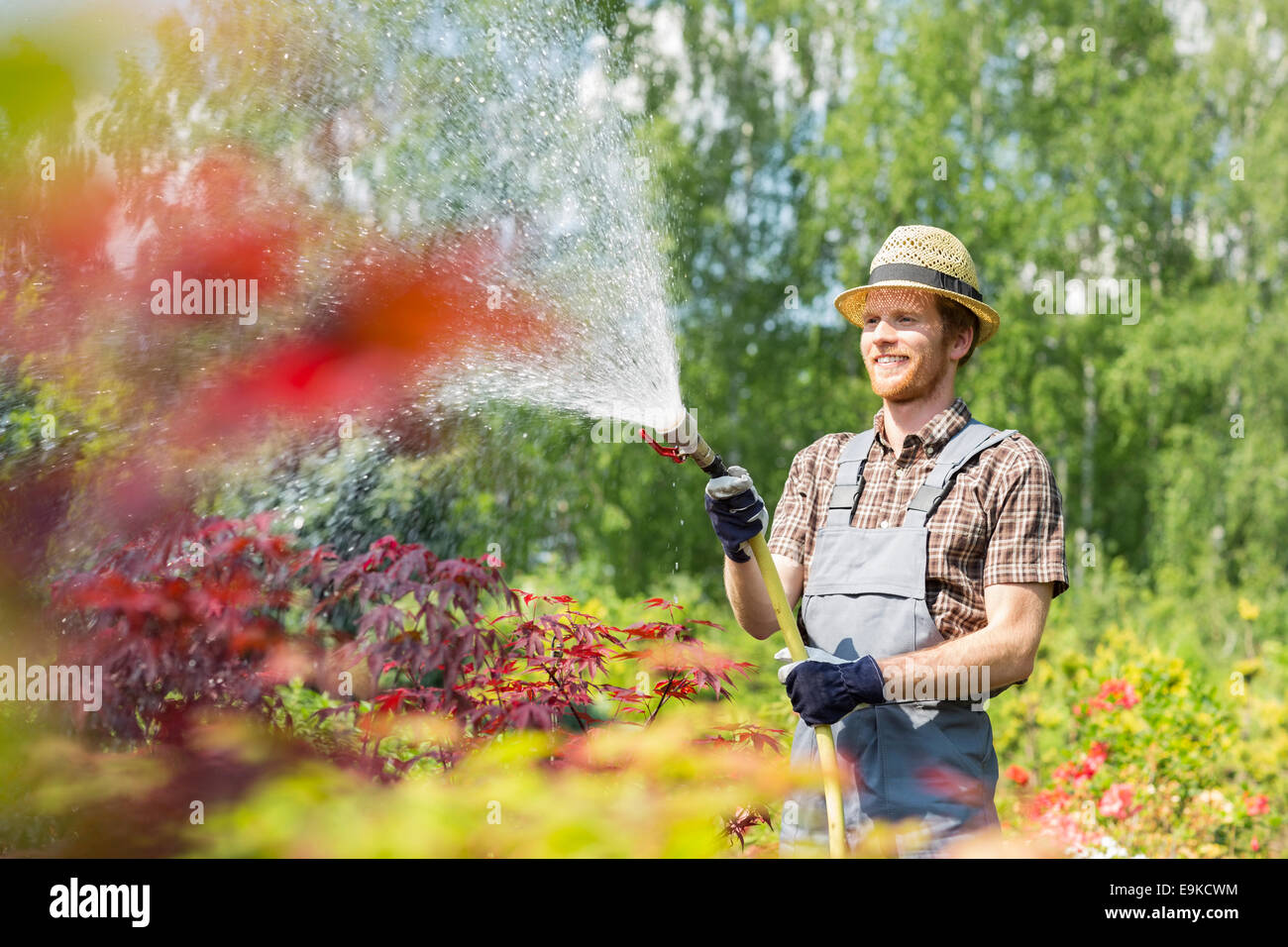 Lächelnd Mann Bewässerung von Pflanzen im Garten Stockfoto