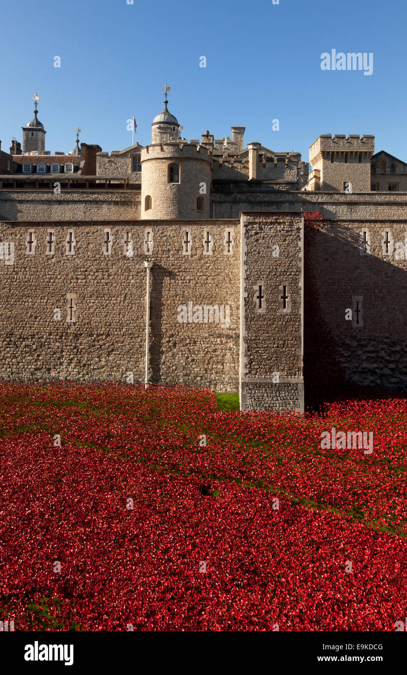 Tower von London Mohn Anzeige als Gedenkstätte für die Toten des Zweiten Weltkriegs 1 (WWI), London, England, Großbritannien Stockfoto