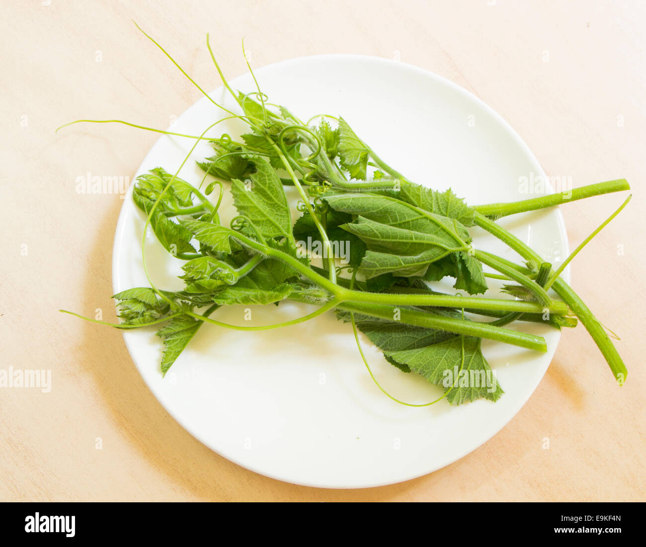 Grüne frische Blattgemüse diagonal auf dem Teller reich an Flavonoiden Antioxidantien Stockfoto