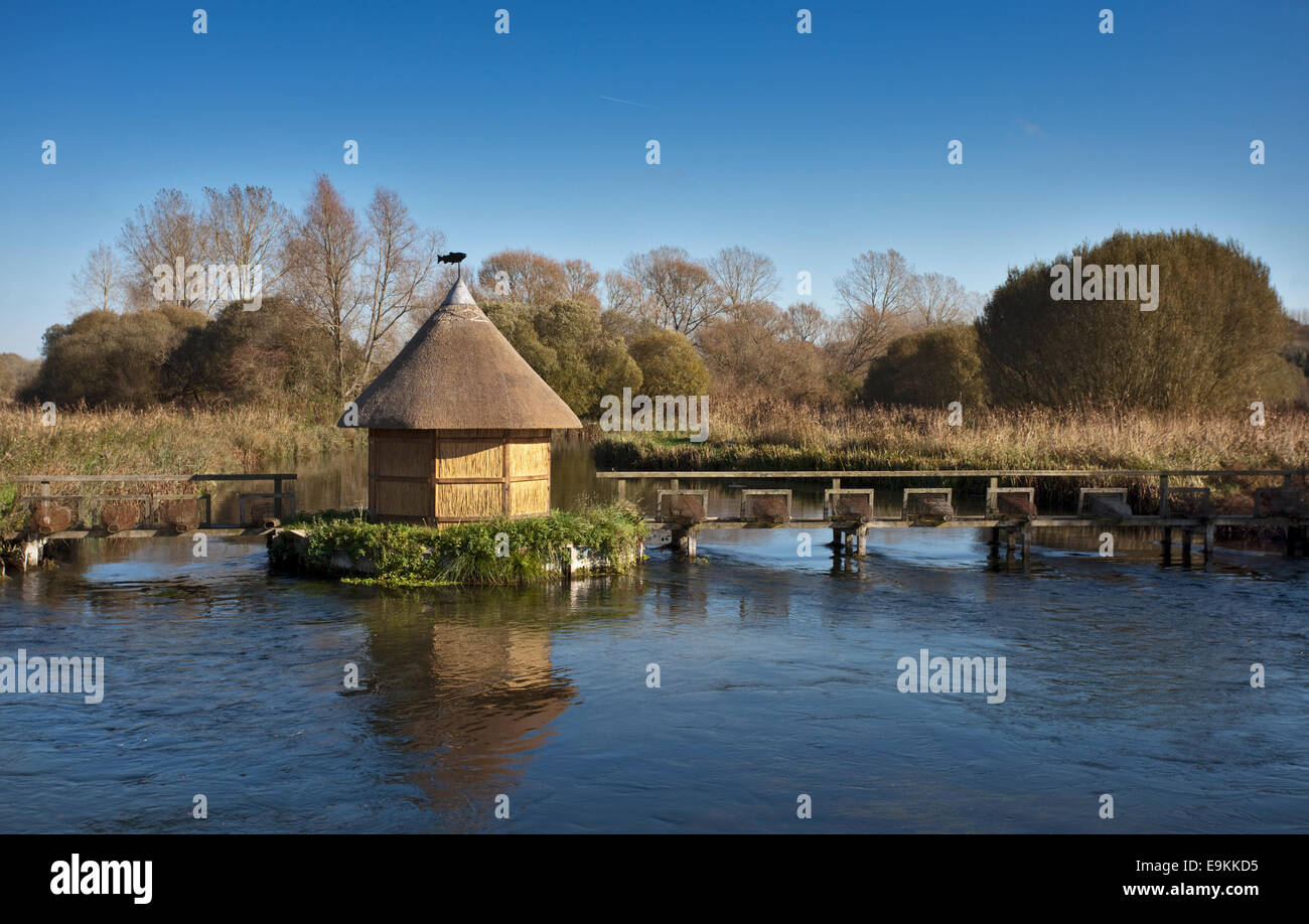 Fluss-Test in Longstock, Hampshire, England Stockfoto