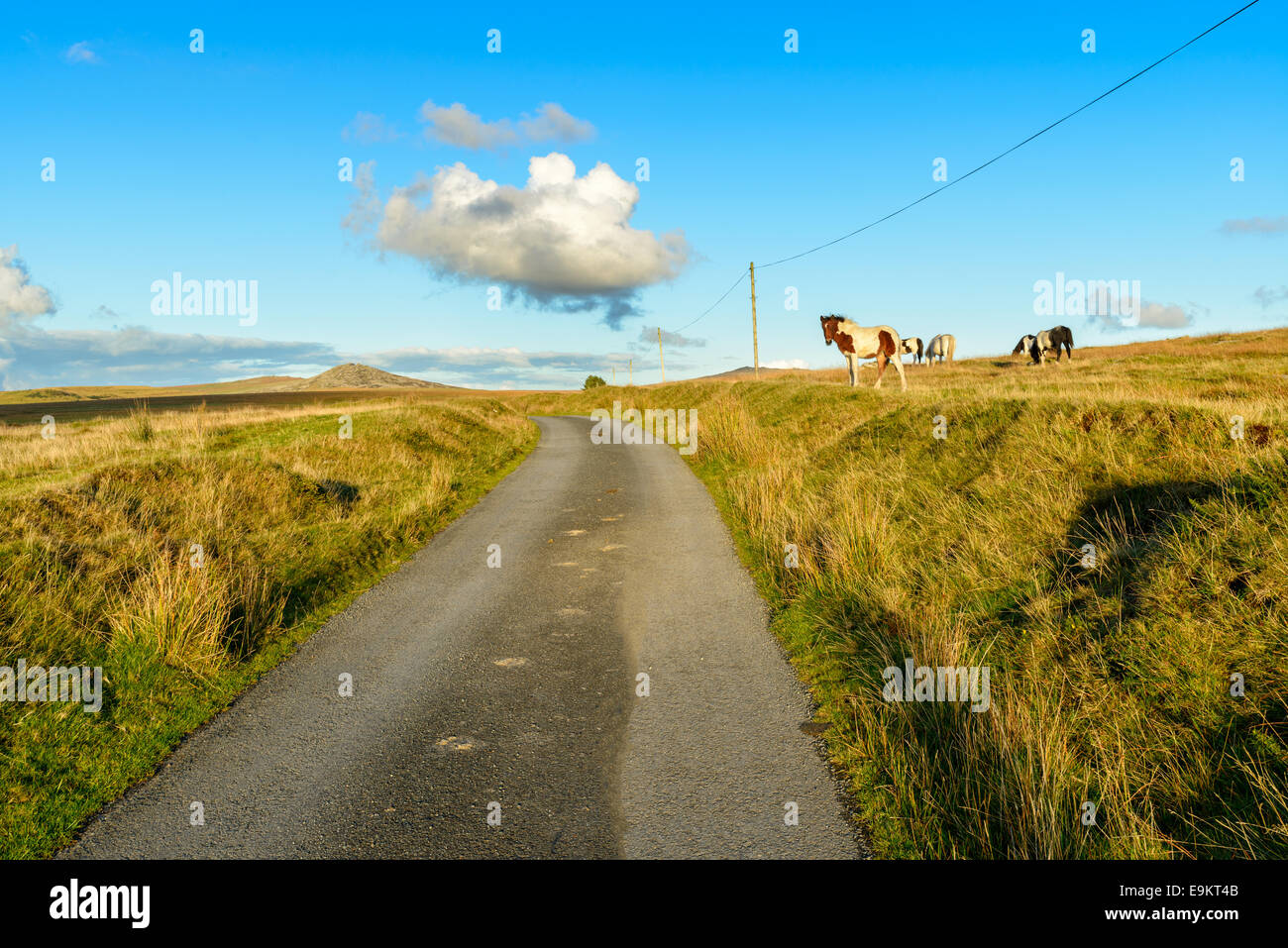 Ein Feldweg auf Bodmin Moor in Cornwall mit Roughtor in weiter Ferne Stockfoto