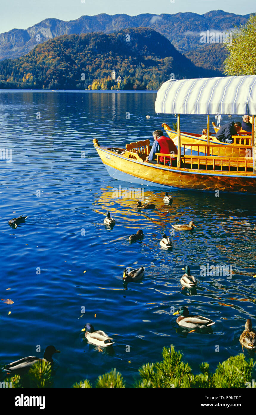 Traditionelles Boot auf See Bled in Slowenien, Europa Stockfoto