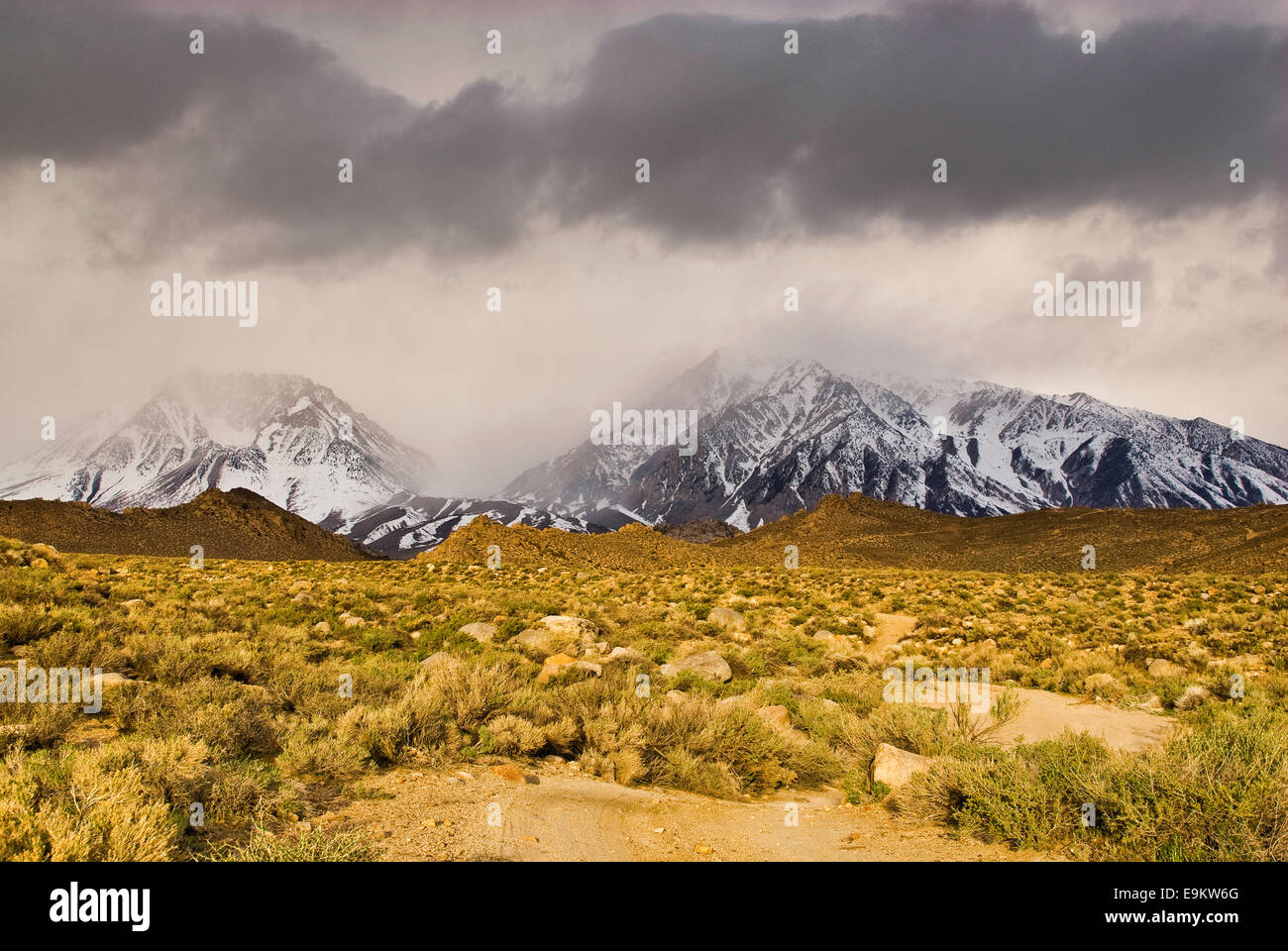 Östliche Sierra Nevada Berge in Buttermilch Land im späten Winter, in der Nähe von Bishop, Kalifornien, USA Stockfoto