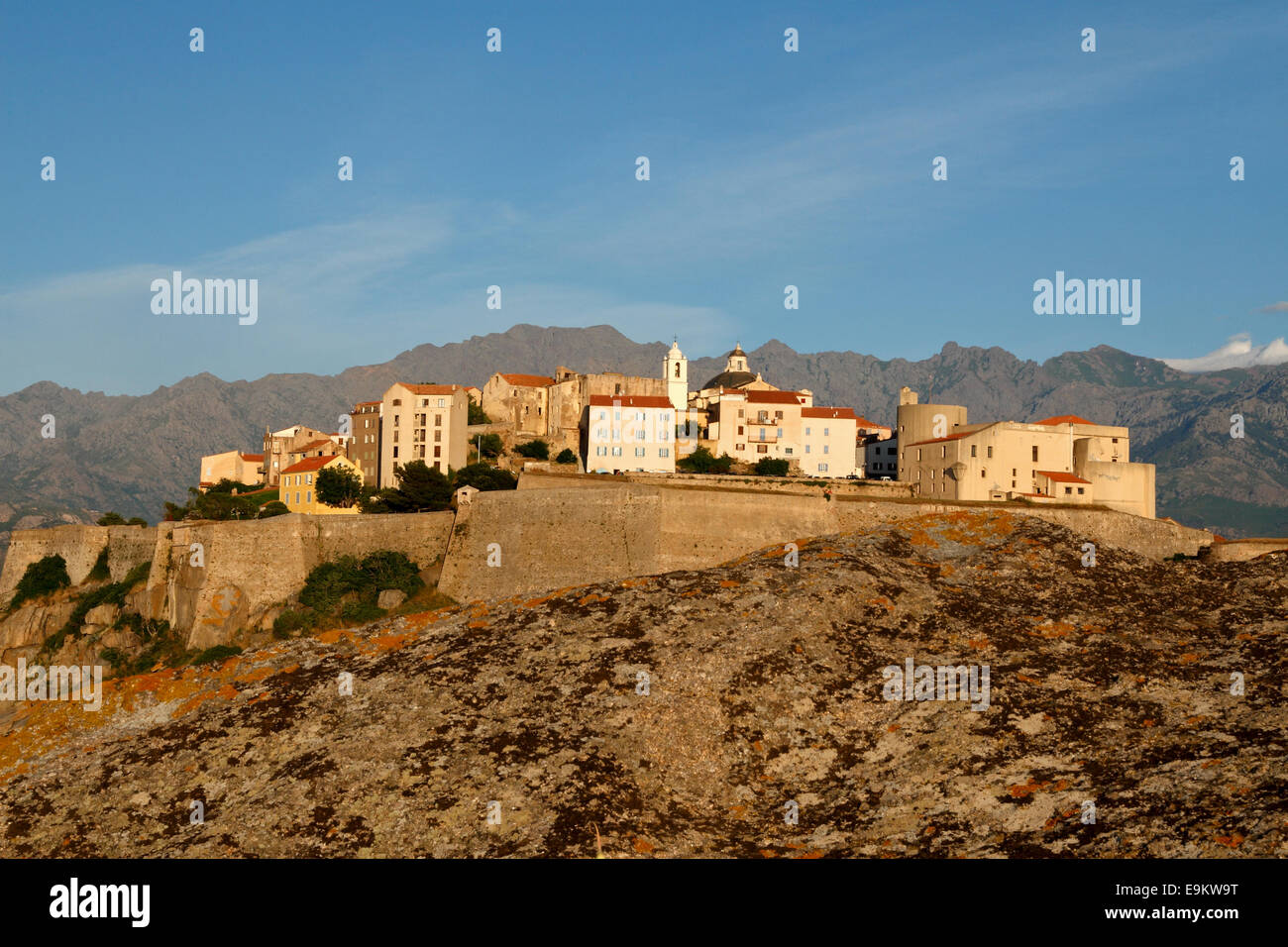 Die Zitadelle von Calvi, Korsika, Frankreich Stockfoto