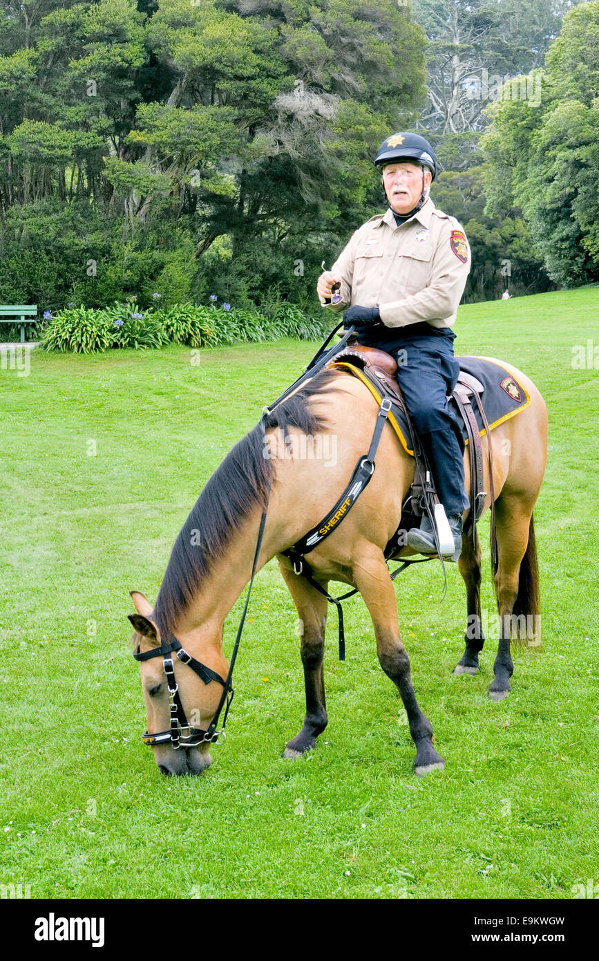 Polizist auf dem Rücken der Pferde Stockfoto