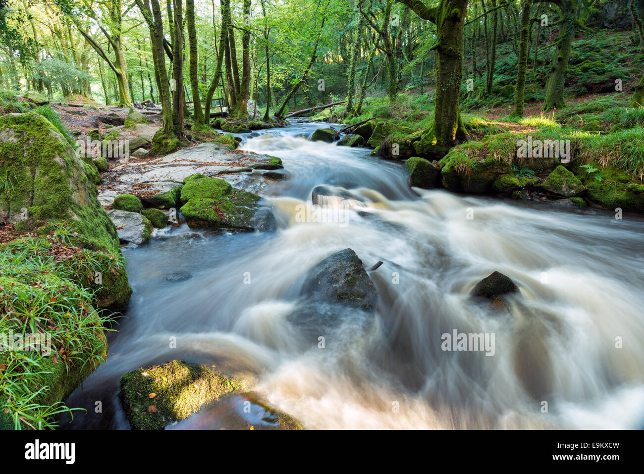 Golitha fällt einem Zauberwald Kaskade am südlichen Rand des Bodmin Moor in Cornwall Stockfoto