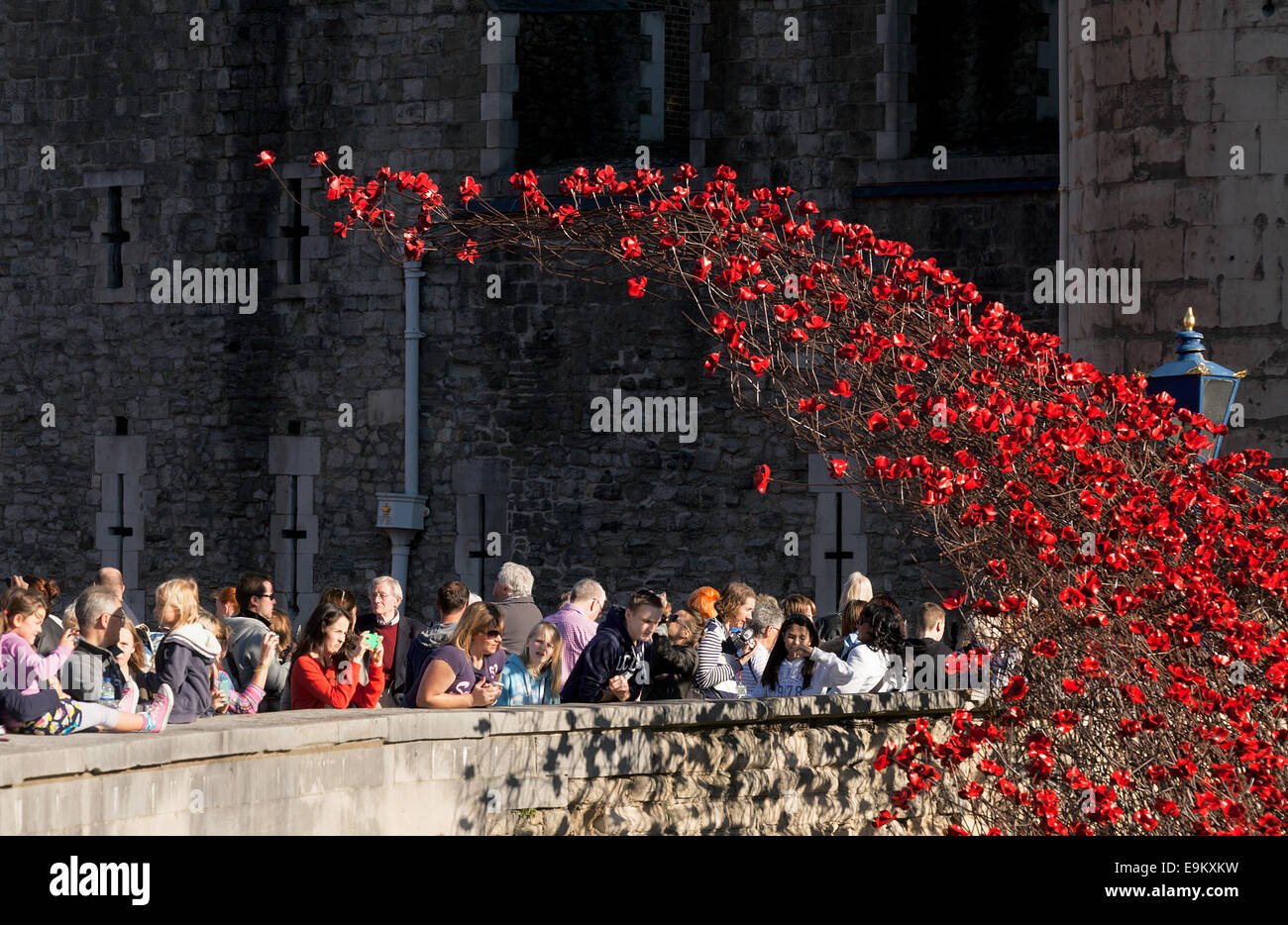 Turm von London Mohn als Mahnmal für die gefallenen im ersten Weltkrieg (WW1), London England UK Soldaten Stockfoto