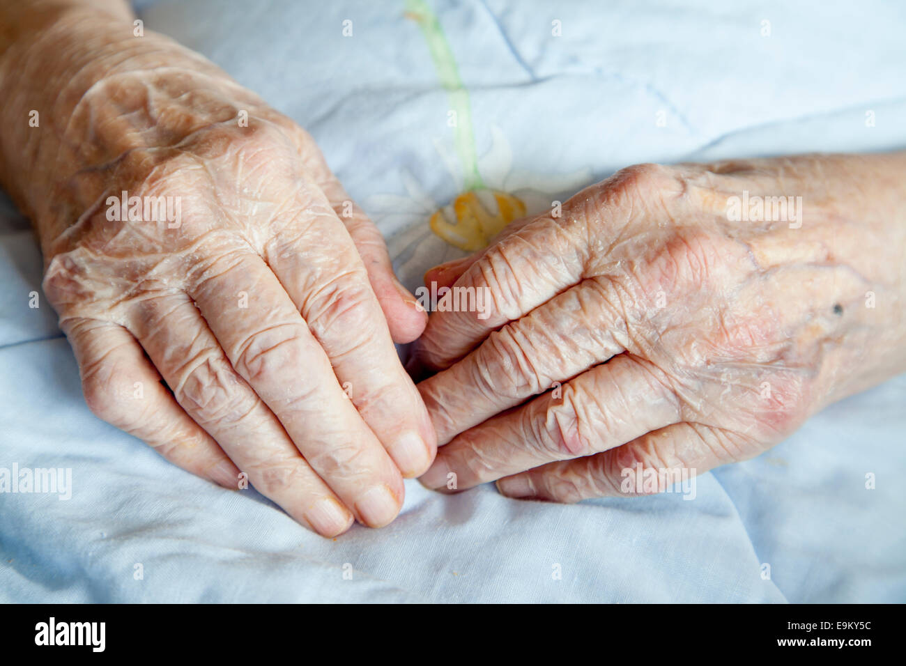 Fotoserie: Hände der 92 Jahre alte Dame Stockfoto