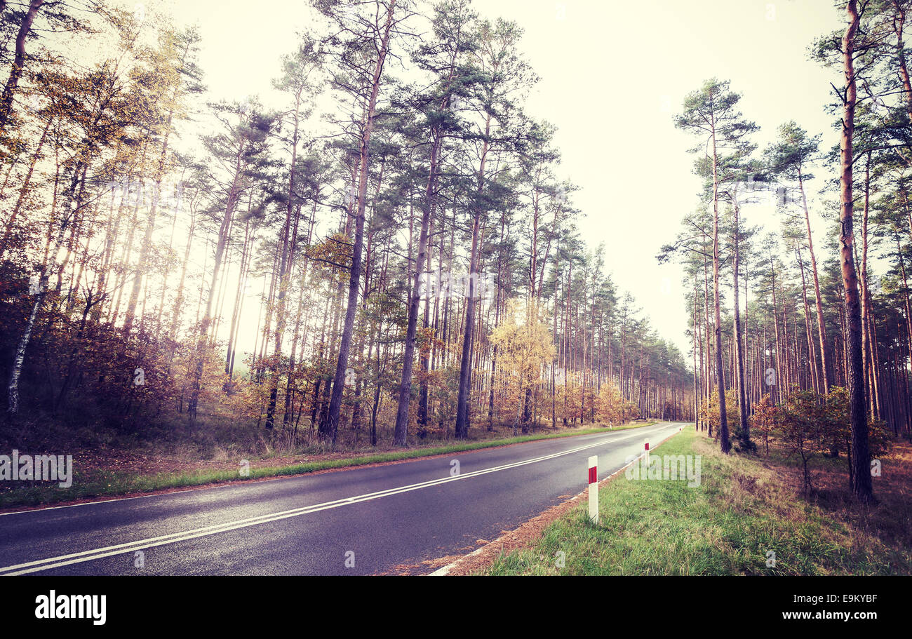 Vintage Retro Stil Bild einer Straße im Wald. Stockfoto