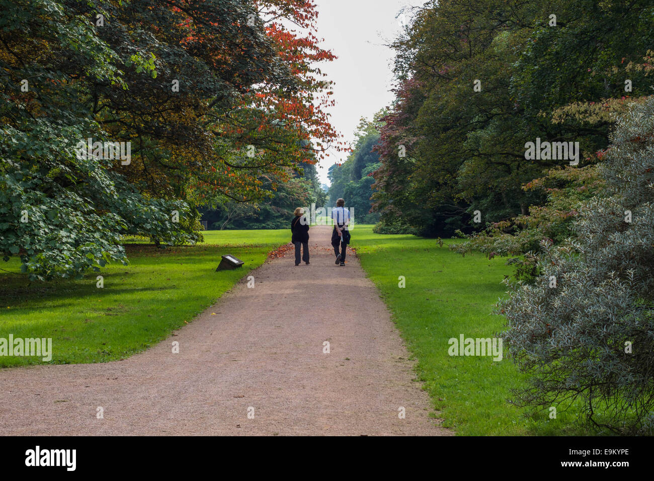 Paar ein Waldweg im Westonbirt hinunter. Stockfoto