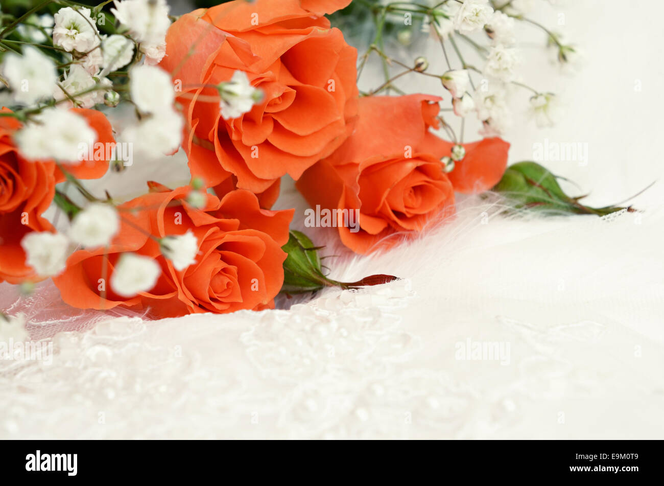 Orange Rosen auf weiße Hochzeit Hintergrund Stockfoto