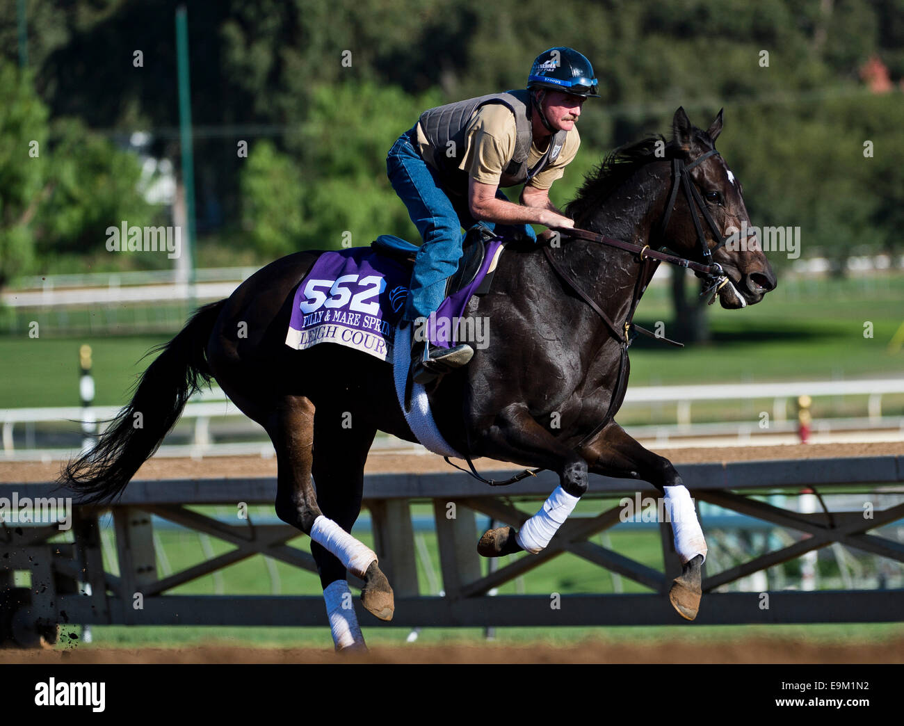 Arcadia, Kalifornien, USA. 29. Oktober 2014. 29. Oktober 2014: Leigh Gericht, ausgebildet von Josie Carroll, Übungen zur Vorbereitung auf die DraftKings Breeders' Cup Filly & Mare Sprint bei Santa Anita Race Course in Arcadia, Kalifornien am 29. Oktober 2014. Scott Serio/ESW/CSM/Alamy Live-Nachrichten Stockfoto