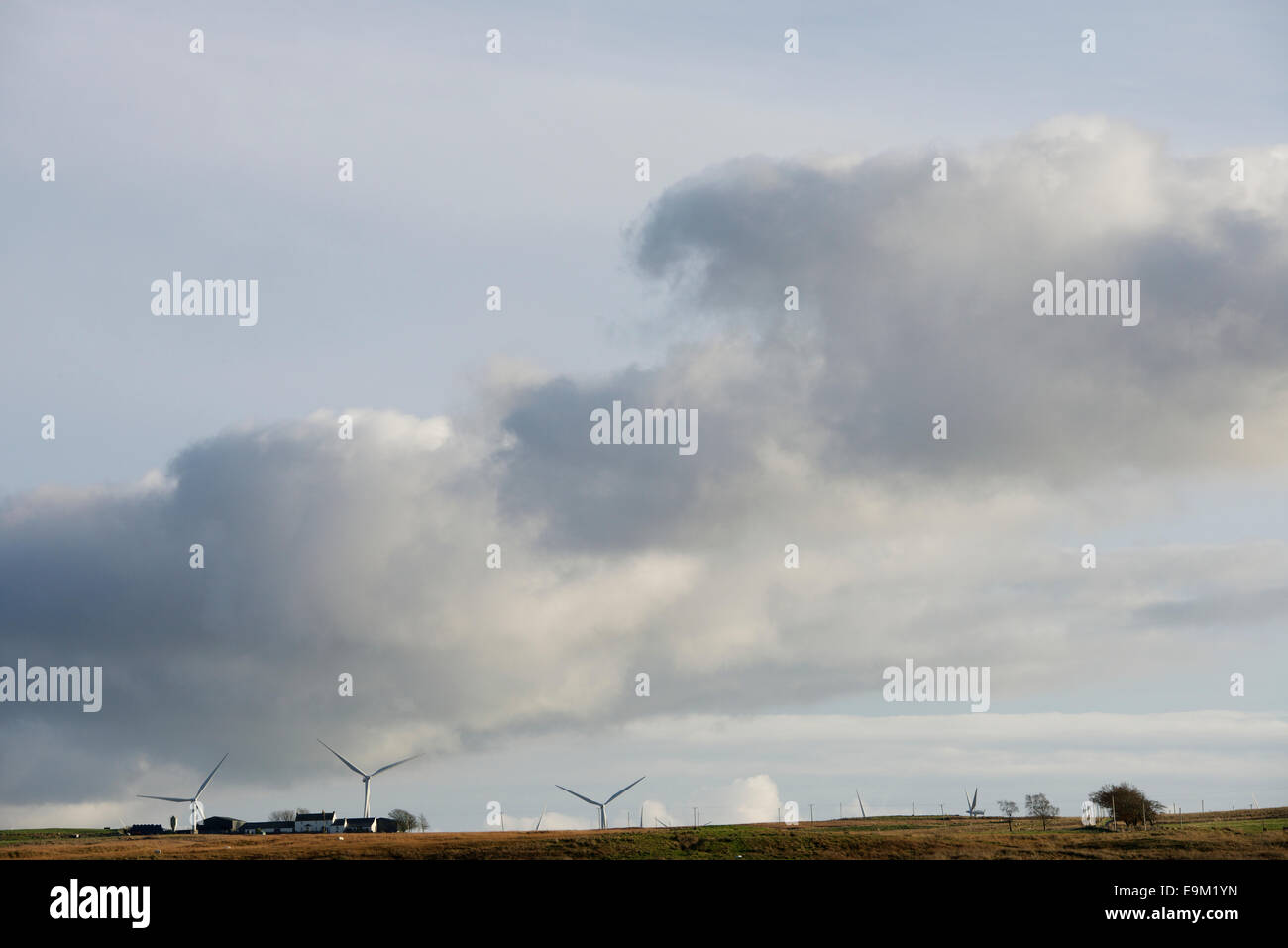 Landschaft von Fenwick Moor von Cumulus Wolkenbildung in den Schatten gestellt. Stockfoto