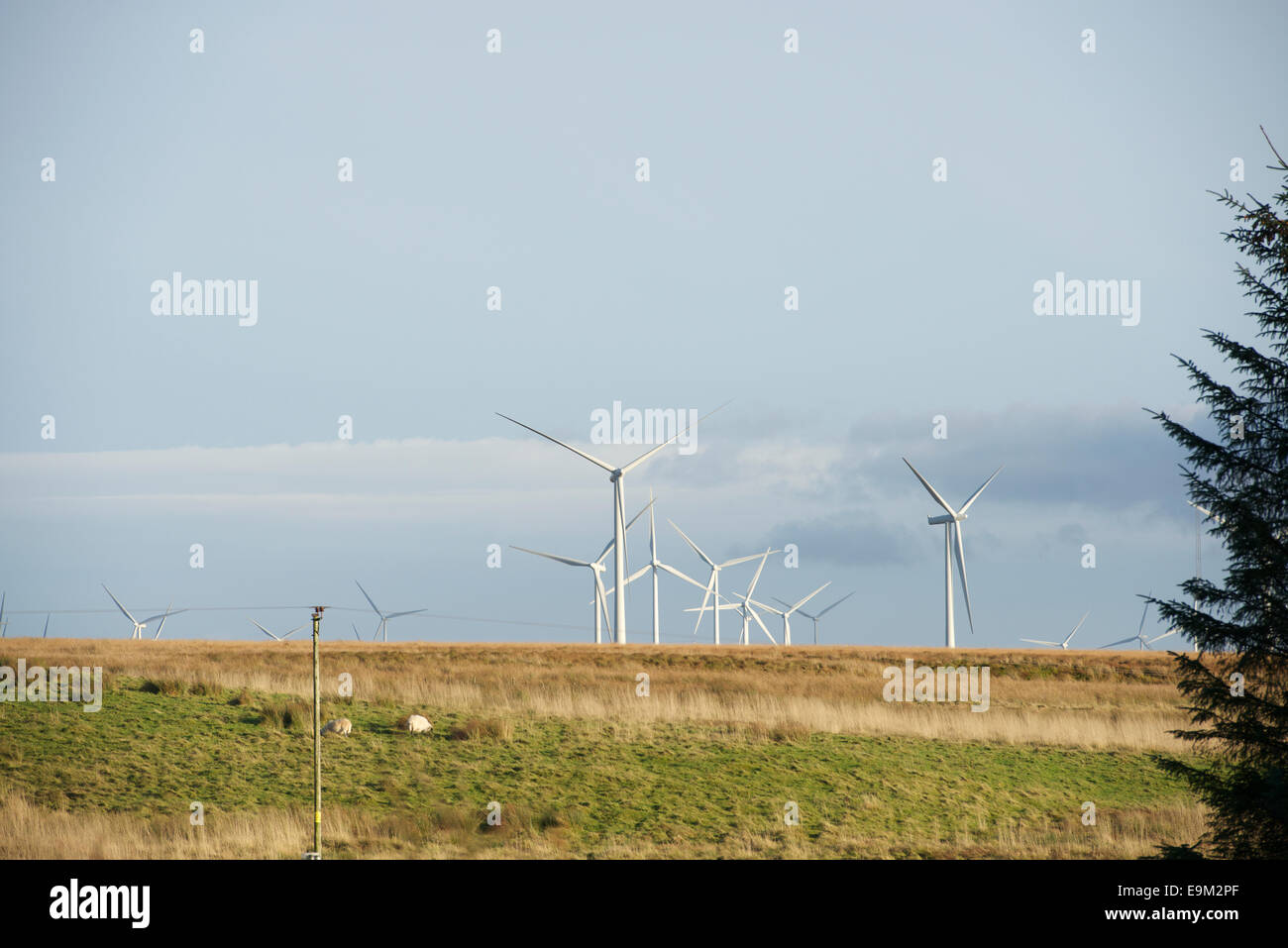 Windkraftanlagen von Whitelee Windfarm von Fenwick Moor gesehen. Stockfoto
