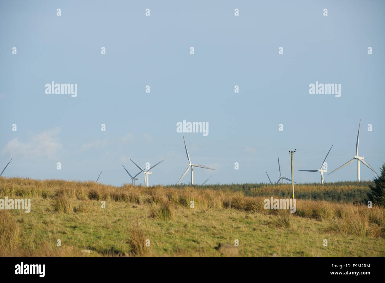 Windkraftanlagen von Whitelee Windfarm von Fenwick Moor gesehen. Stockfoto