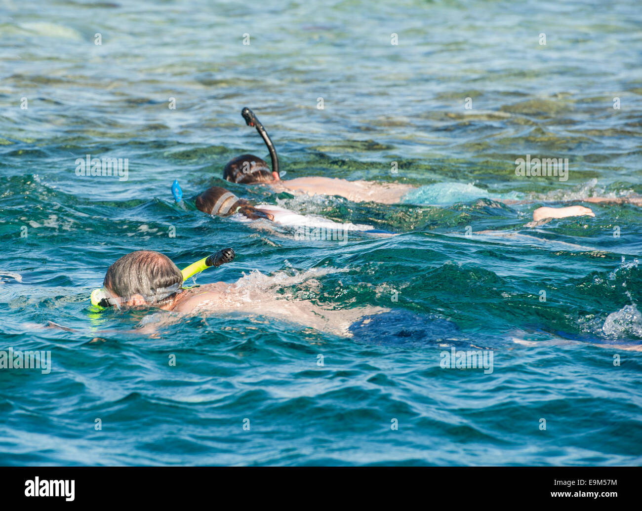 Gruppe von Menschen, die Schnorcheln am Korallenriff im tropischen Meer Stockfoto