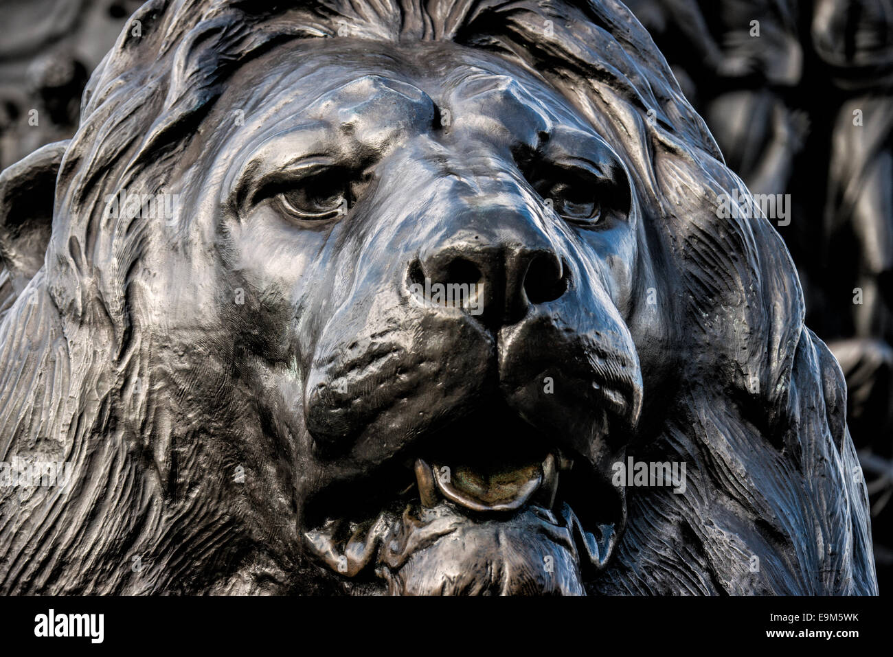Landseer Lion Sculpture Trafalgar Square London // LONDON, Vereinigtes Königreich — eine der vier großen bronzenen Löwenstatuen, bekannt als die Landseer Lions, bewacht die Basis der Nelson's Column am Trafalgar Square im Zentrum von London. Diese ikonischen Skulpturen wurden von Sir Edwin Landseer entworfen und von Baron Marochetti nach Jahren der Verzögerungen gegossen. Die zwischen 1867 und 1868 installierten Löwen sind zu Symbolen britischer Stärke geworden und gehören zu den meistfotografierten öffentlichen Skulpturen in London. Die Löwen sitzen auf Granitsockeln an jeder Ecke des Säulensockels, wobei jede Skulptur etwa 20 Gebühren misst Stockfoto