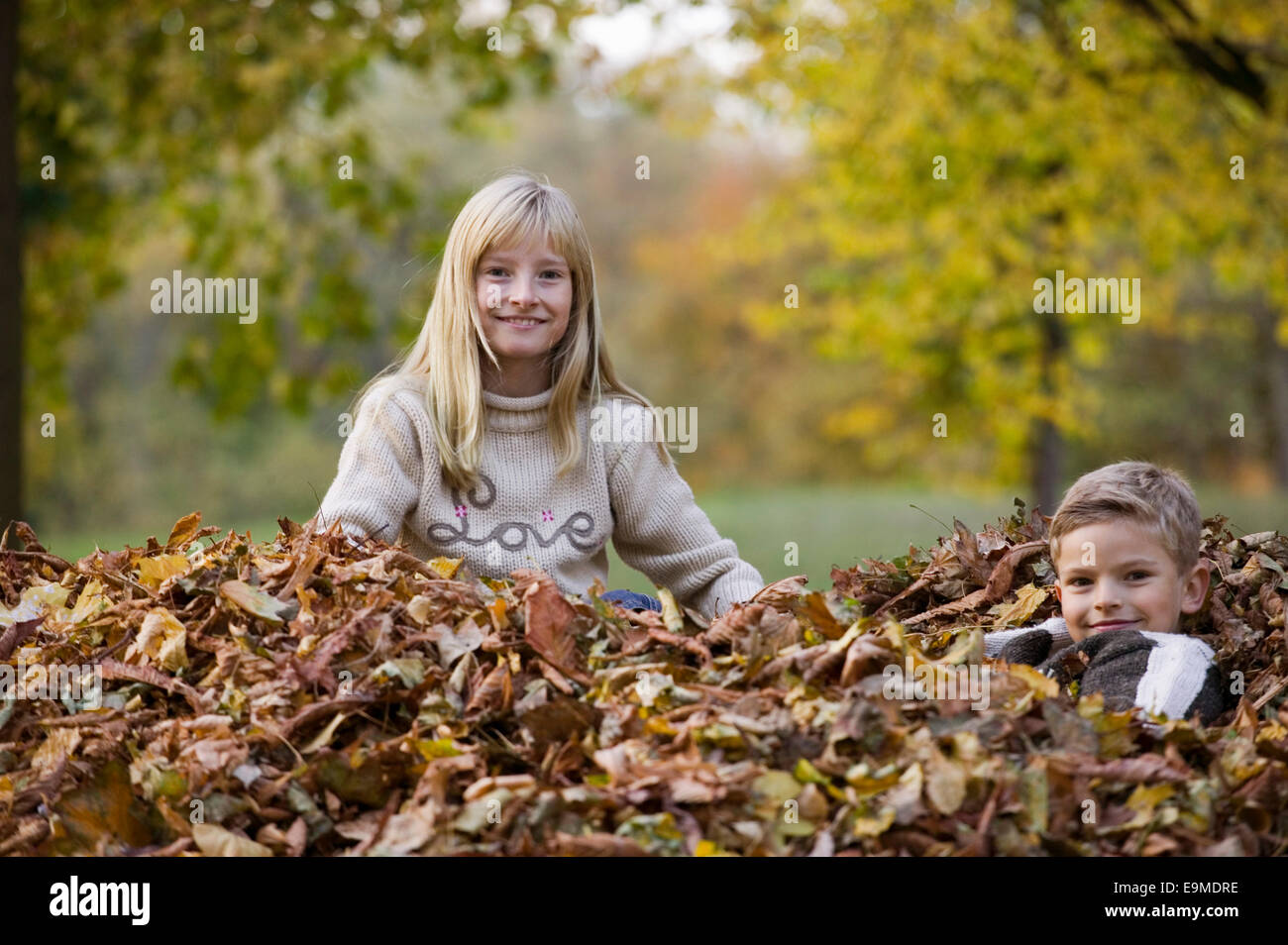 Bruder und Schwester in einem Haufen von Blättern Stockfoto
