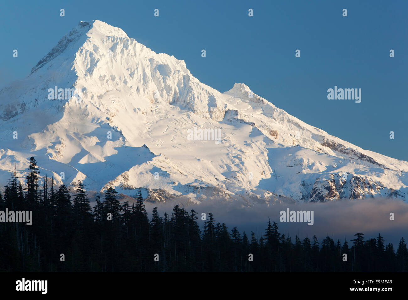 Lost Lake mit Mount Hood, Hood River, Oregon, Vereinigte Staaten Stockfoto