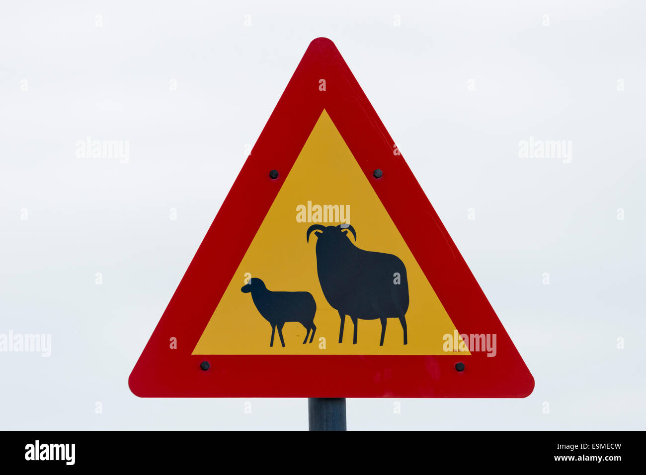 Verkehrszeichen, Warnung von Schafen, Reykjanes, Island Stockfoto