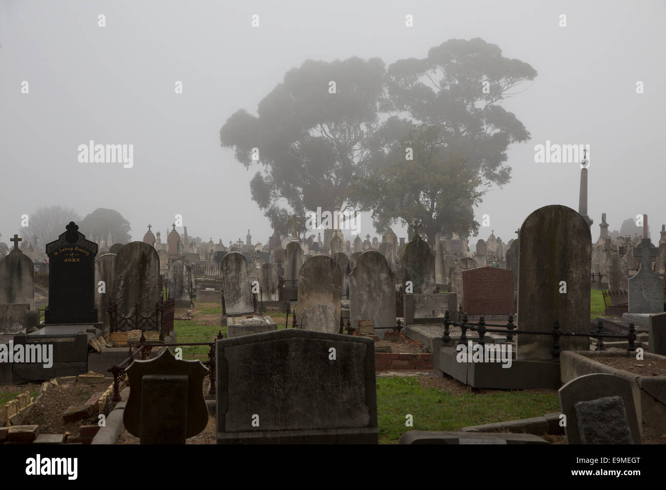 Grabsteine auf dem Friedhof in Melbourne, Victoria, Australia Stockfoto