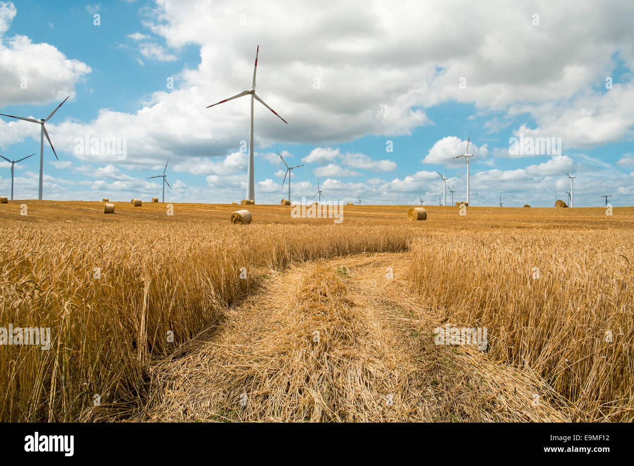 Blick auf landwirtschaftlichen Bereich Stockfoto