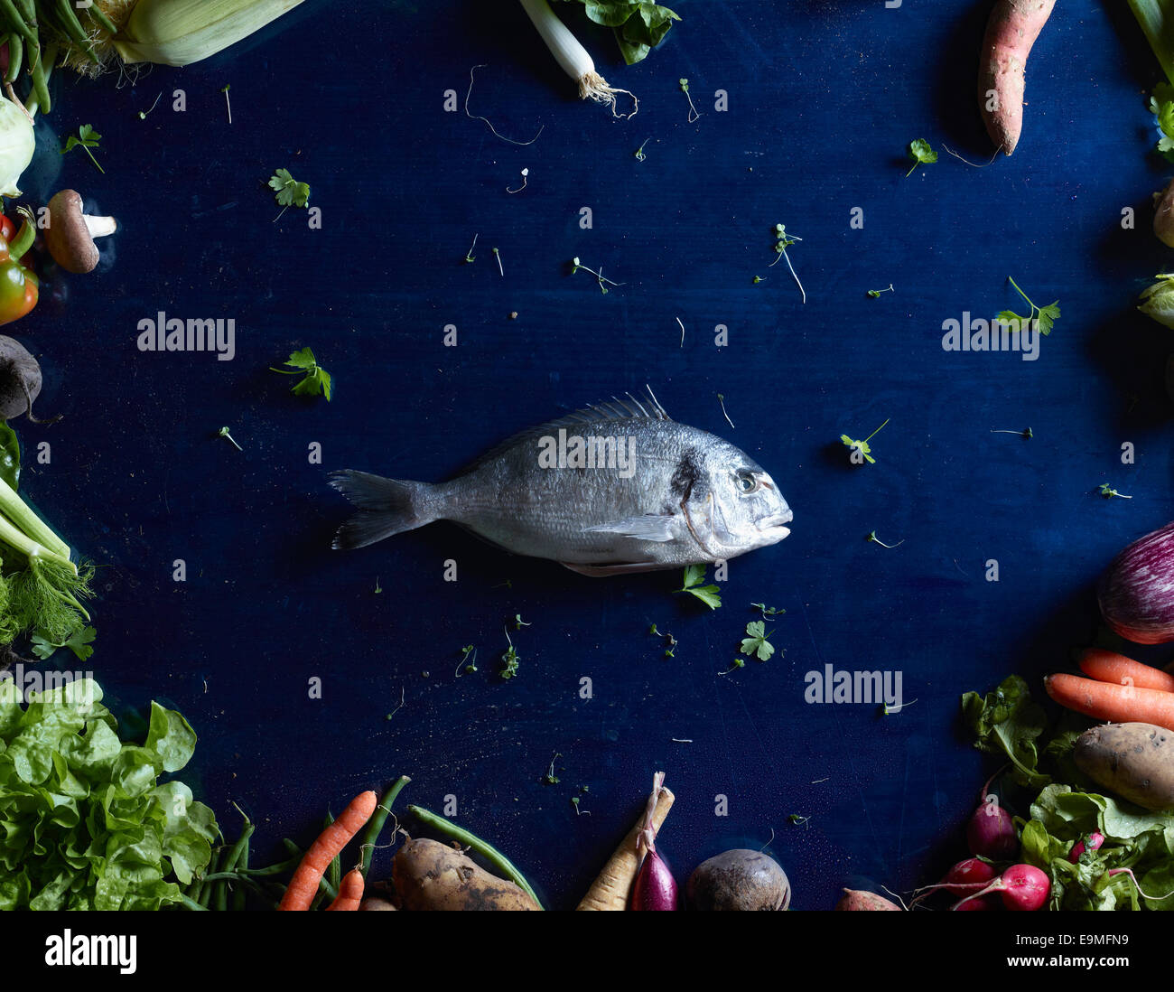 Direkt oben geschossen von Fisch inmitten von Gemüse auf blauer Tisch Stockfoto