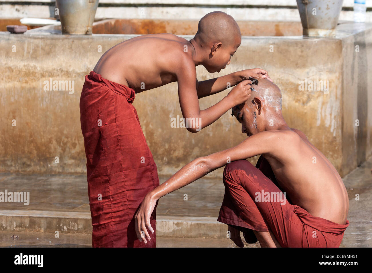 Novizen in einem Kopf rasieren im Shwe Yaunghwe Kyaung Kloster in der Nähe von Nyaungshwe, Shan-Staat, Inle-See, Myanmar Stockfoto