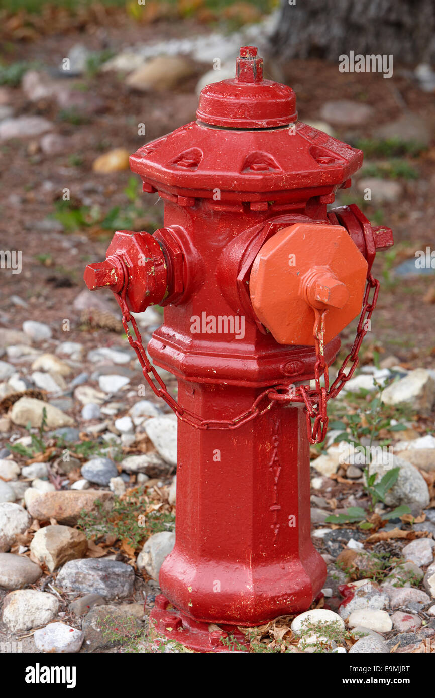 rot lackierte Mcavity Hydranten in Saskatchewan, Kanada Stockfoto