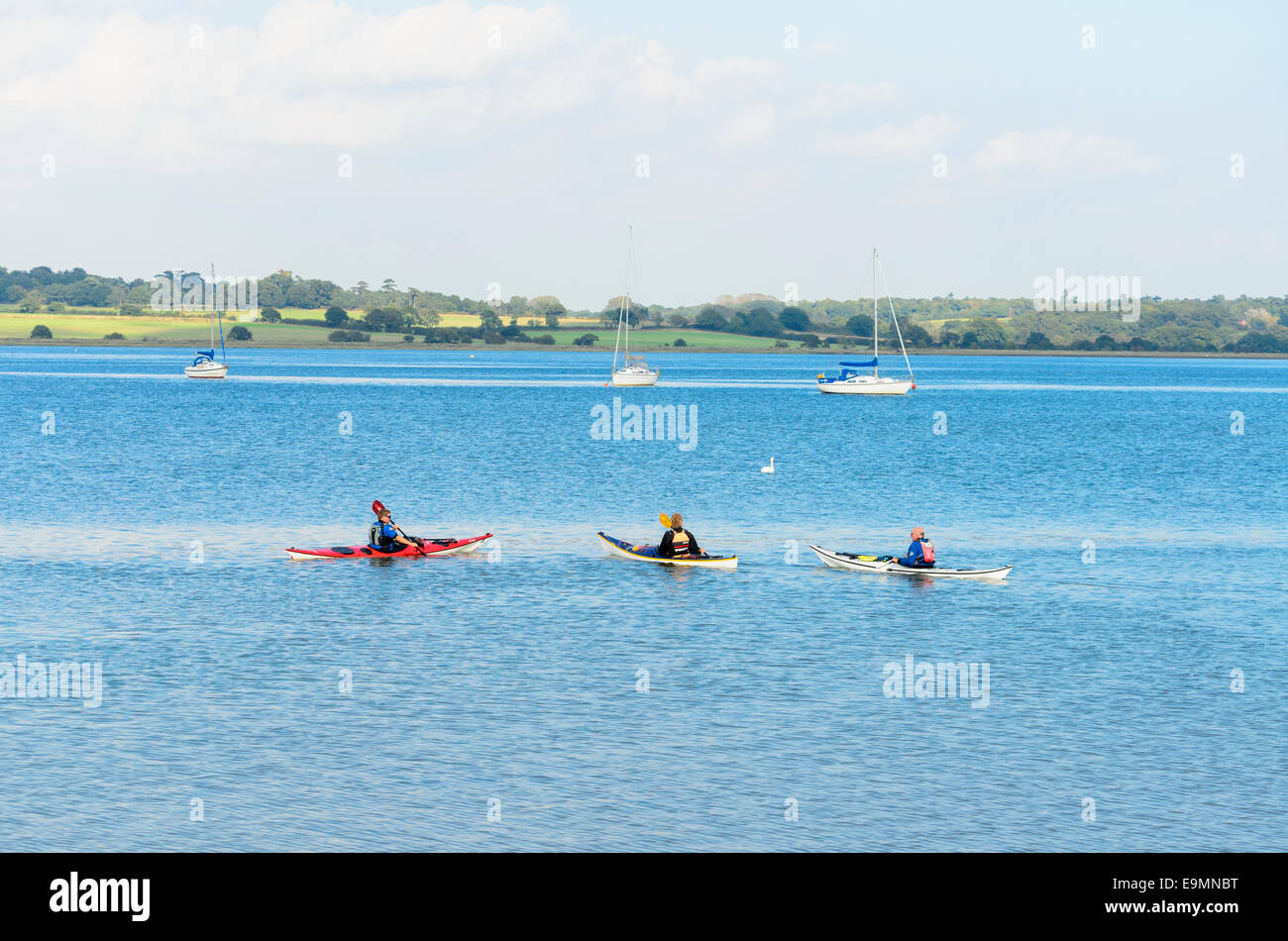 Eine Gruppe von Freunden, Kanufahren auf dem Fluss Stour Essex UK Stockfoto