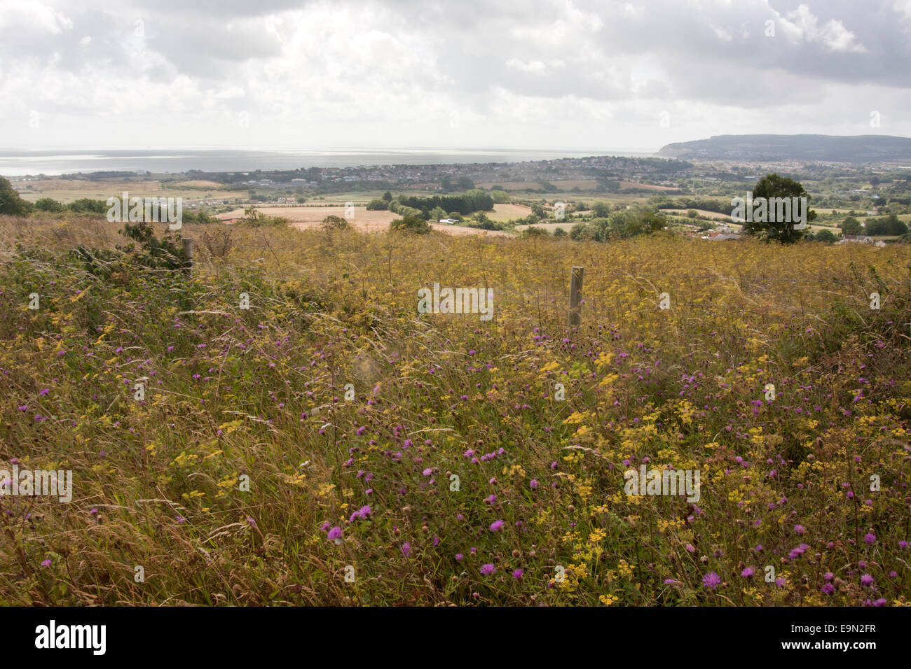 Naturschutzgebiet, Arreton Downs, Brading, Isle Of Wight Stockfoto