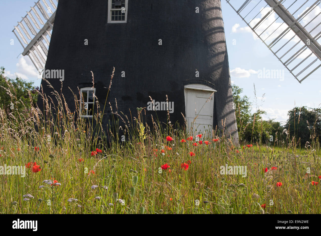 Thelnetham Windmühle, Suffolk Stockfoto