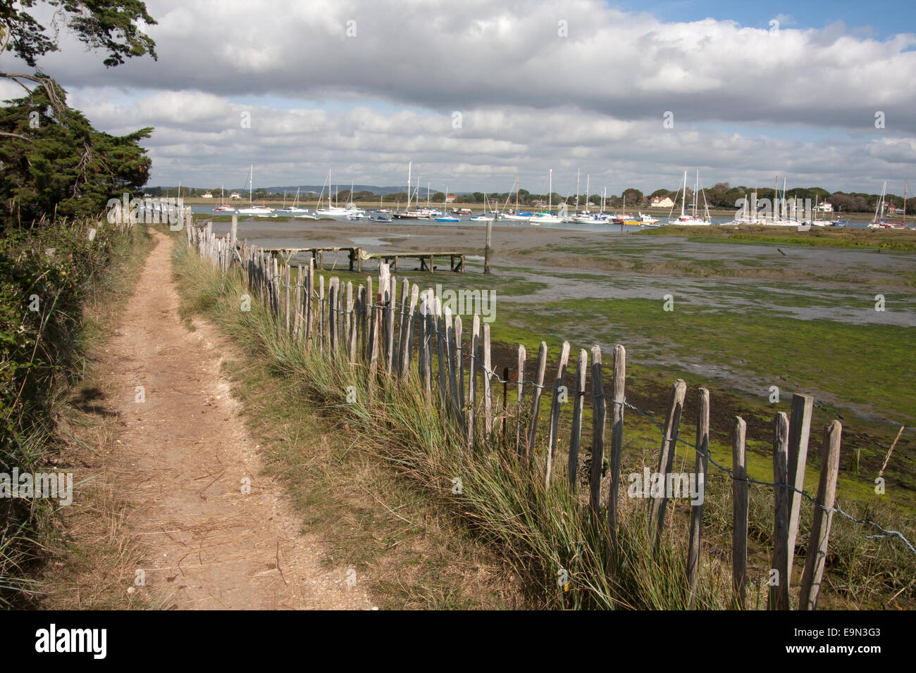 Itchenor, Chichester Harbour, Männlichkeit Halbinsel, West Sussex, England Stockfoto