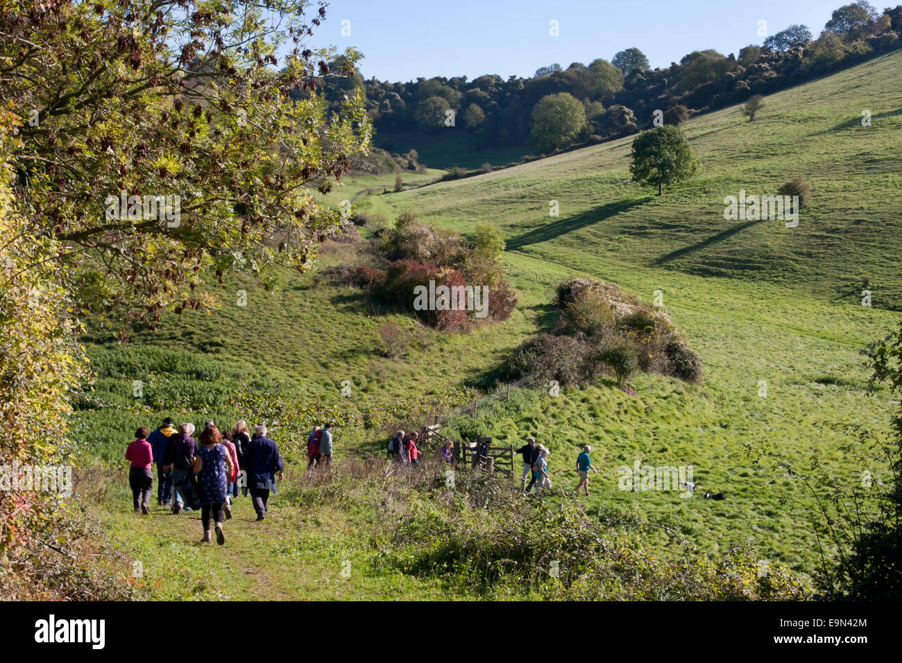 Wanderer in Sussex Landschaft in der Nähe von Amberley Stockfoto