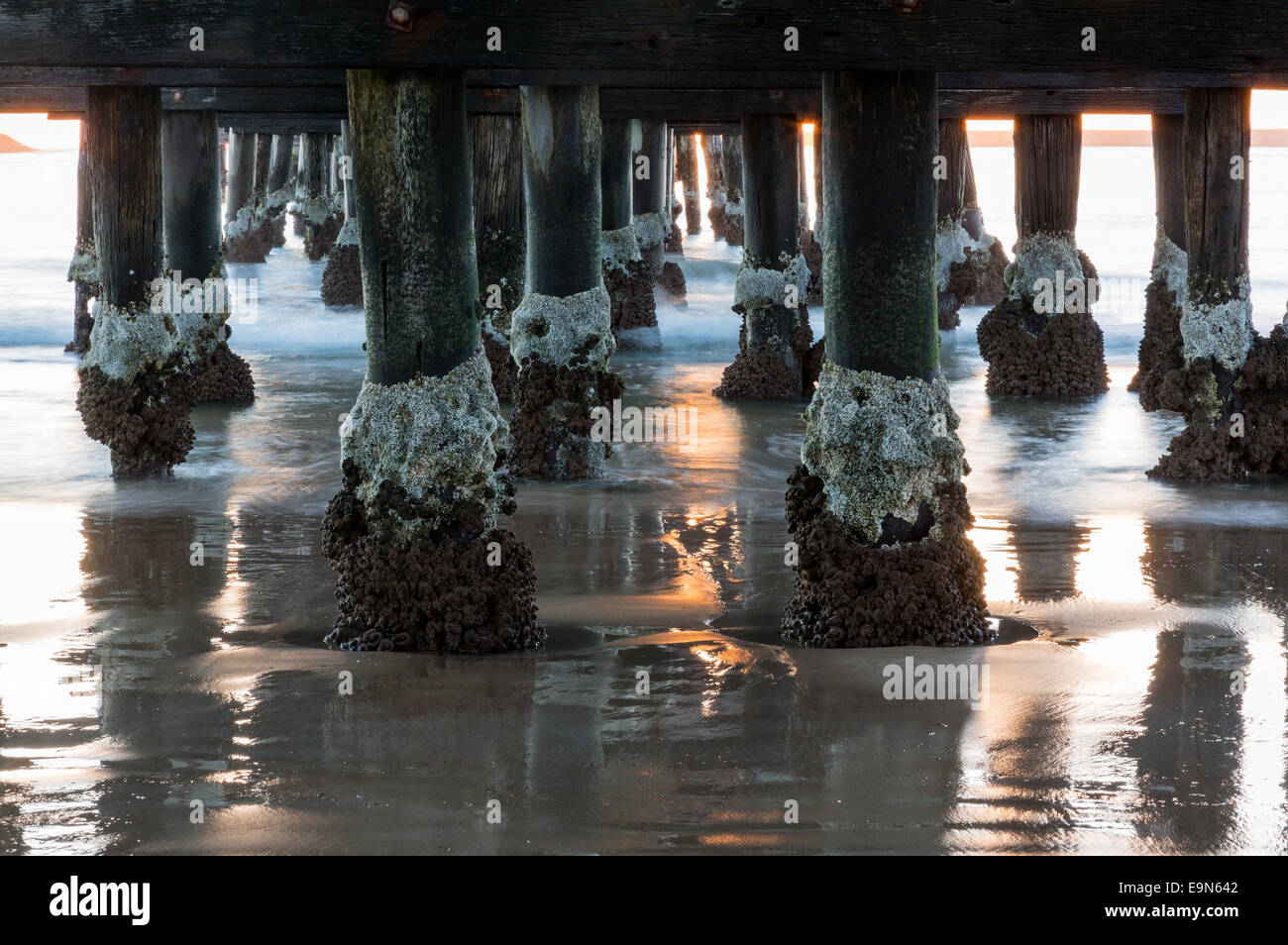 Pier von Coffs Harbour, Australien Sonnenaufgang Stockfoto