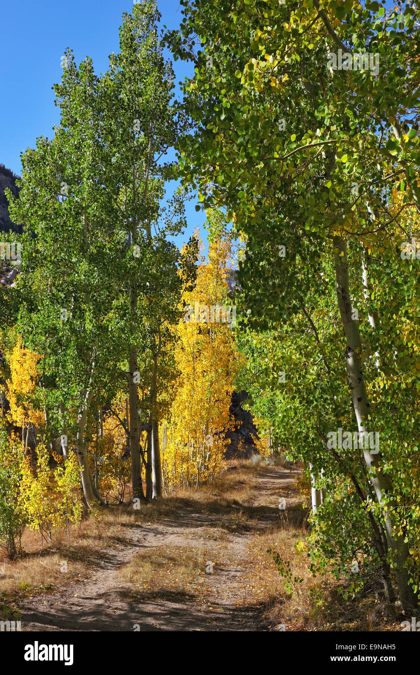 Eine Spur von Schmutz Stockfoto