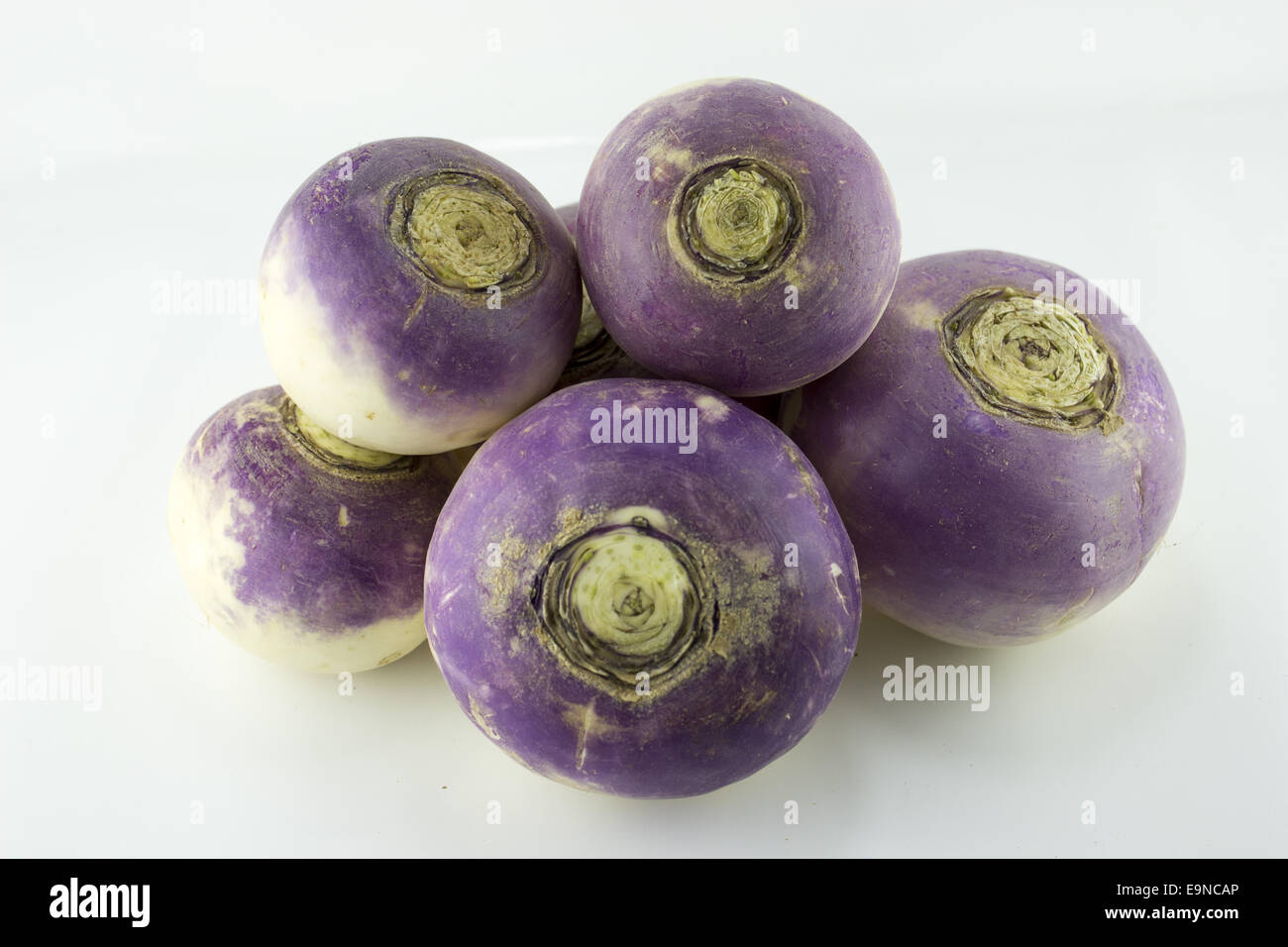 violette Leitung Rüben Stockfoto