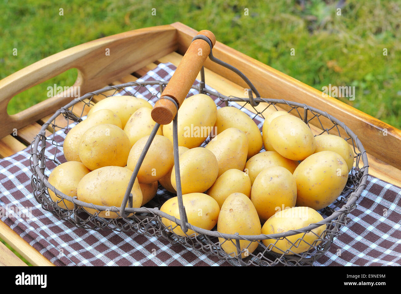 Rohe Kartoffeln Stockfoto