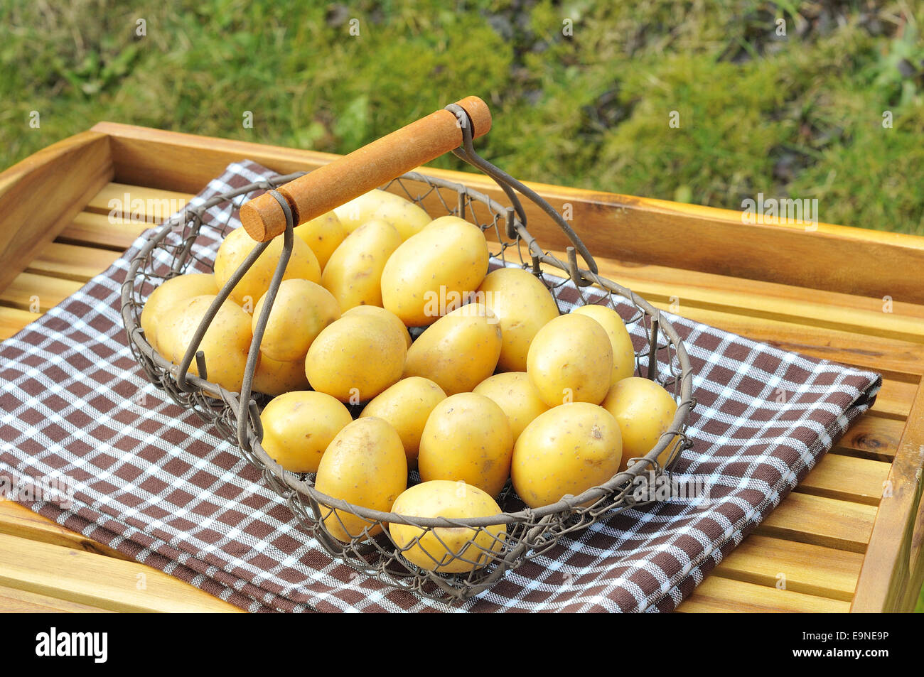 Rohe Kartoffeln Stockfoto