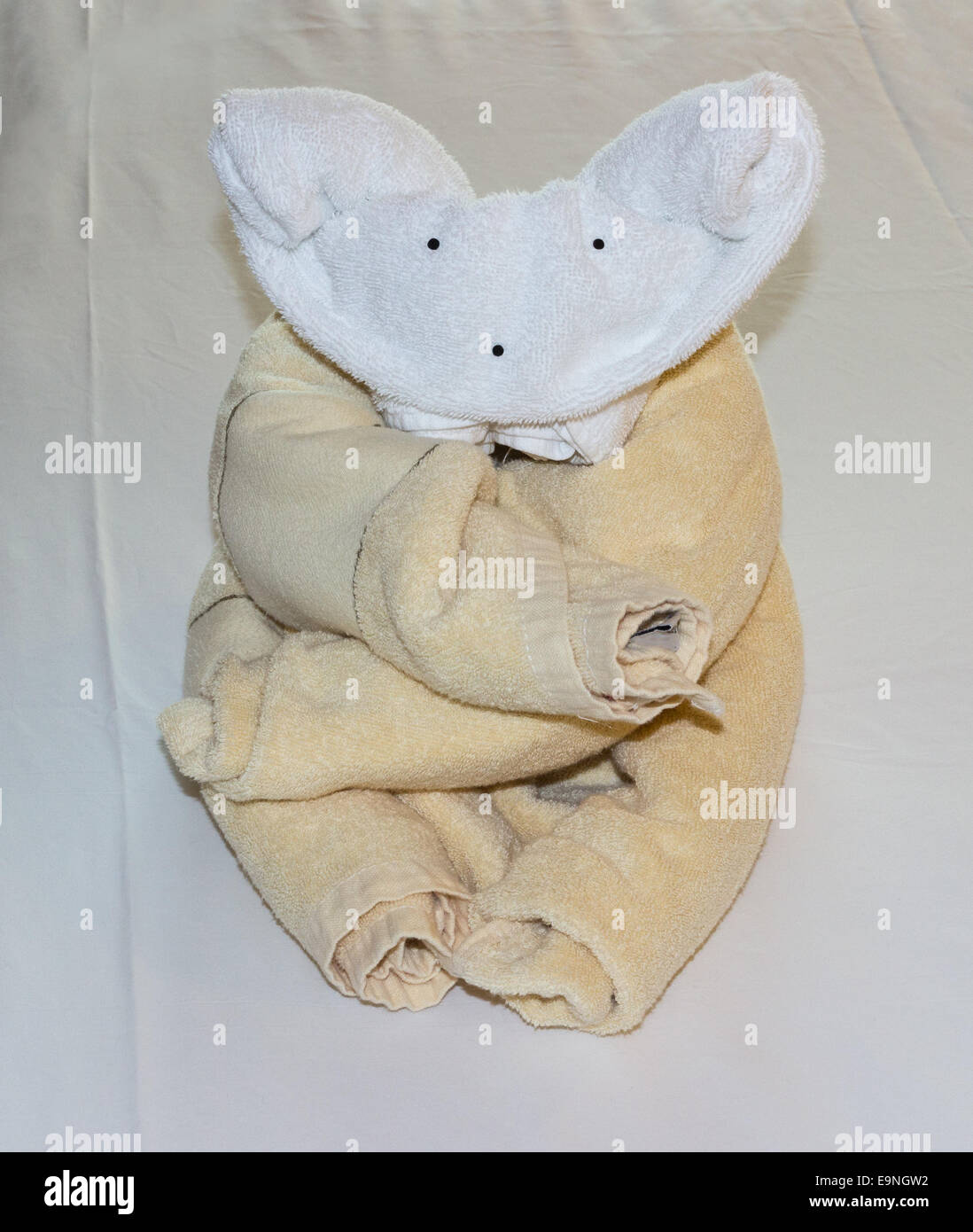 Koalabär geprägt von gefaltete Handtücher auf Bett Stockfoto