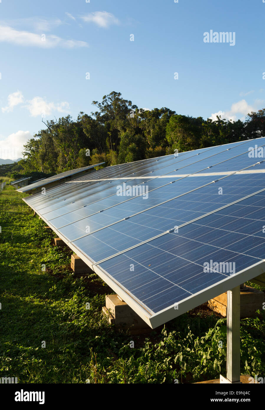 Große Solaranlage in Tropen Stockfoto