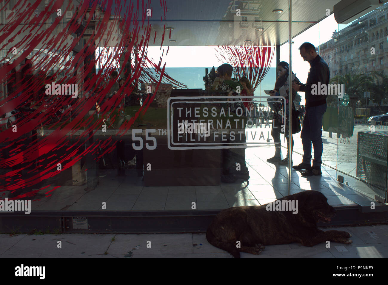 Thessaloniki, Griechenland, 30. Oktober 2014. Ein Hund liegt vor der Kasse des Filmfestivals in Aristoteles-Platz. 55. Thessaloniki International Film Festival öffnet morgen (31. Oktober) mit Schwerpunkt auf griechische Kino feiert seinen hundertsten sowie eine Hommage an Balkan Kino und viele prominente Künstler. Das Festival dauert bis zum 9. November.  Bildnachweis: Orhan Zolak /Alamy Live-Nachrichten Stockfoto
