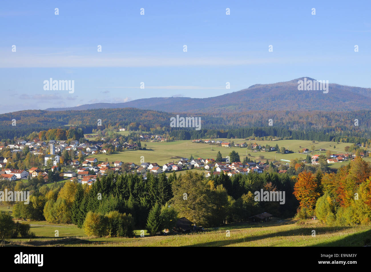 Bayerischer Wald Stockfoto