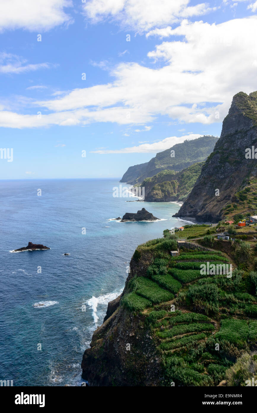 Madeira-Küste Stockfoto