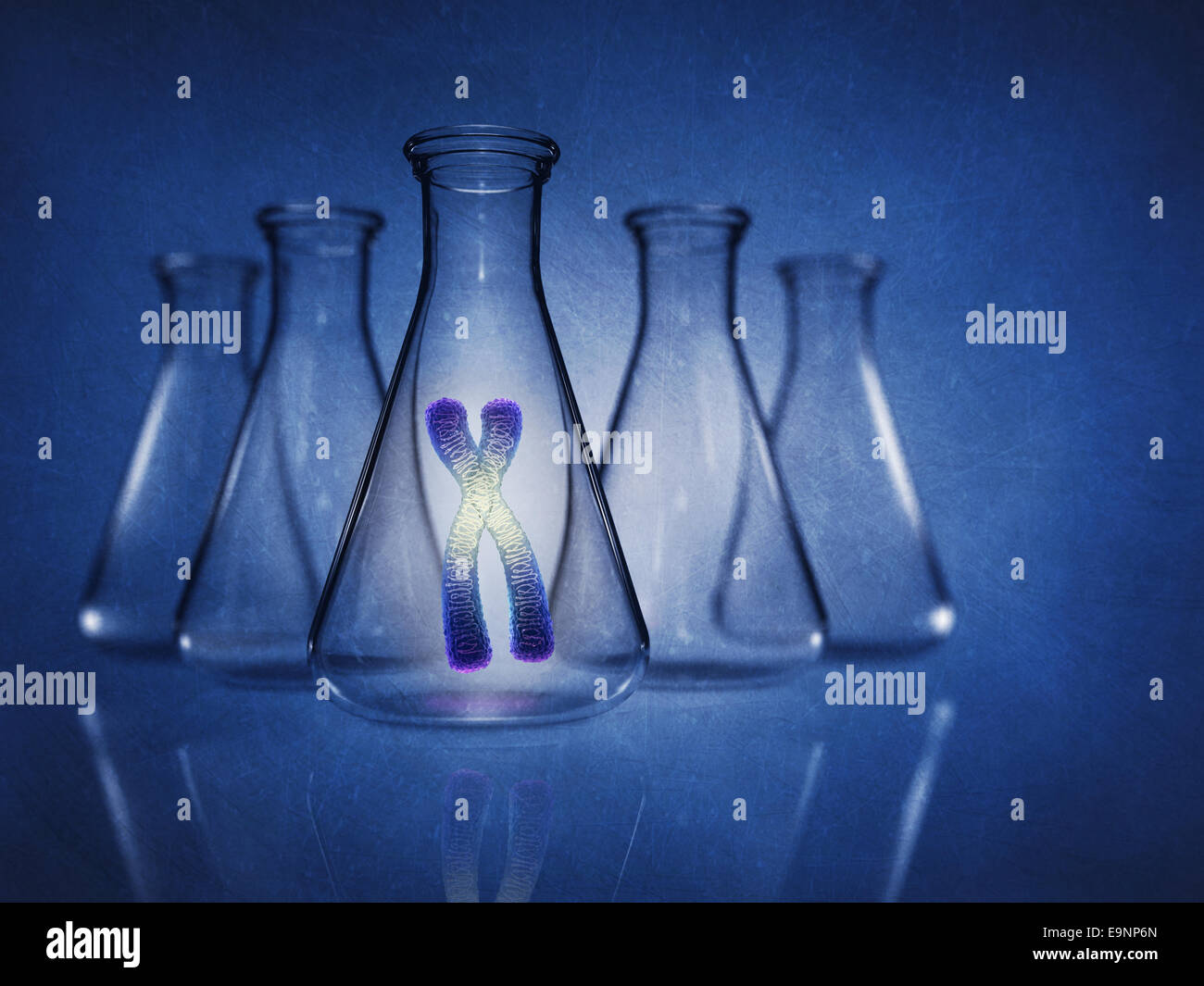 Menschlichen Chromosoms in Labor Kolben auf blauem Hintergrund, Genetik, detaillierte Darstellung Stockfoto