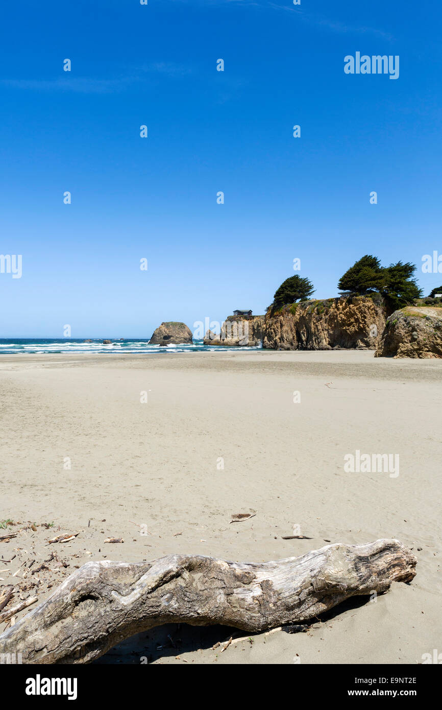 Strand am State Highway 1 nördlich von Fort Bragg, Mendocino County, Northern California, USA Stockfoto