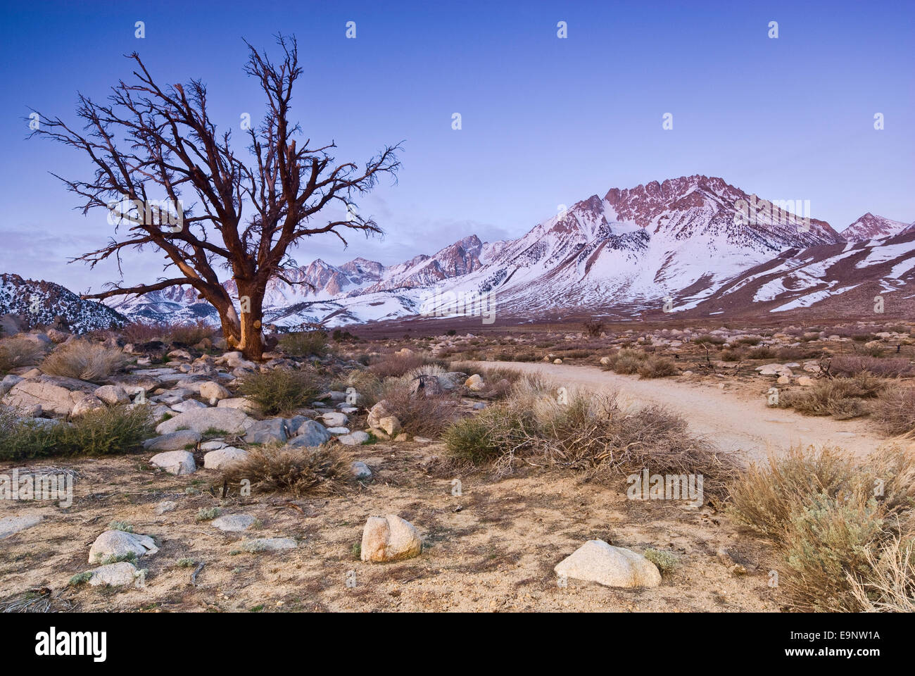 Östliche Sierra Nevada Berge im Morgengrauen in Buttermilch Gegend in der Nähe von Bishop, Kalifornien, USA Stockfoto