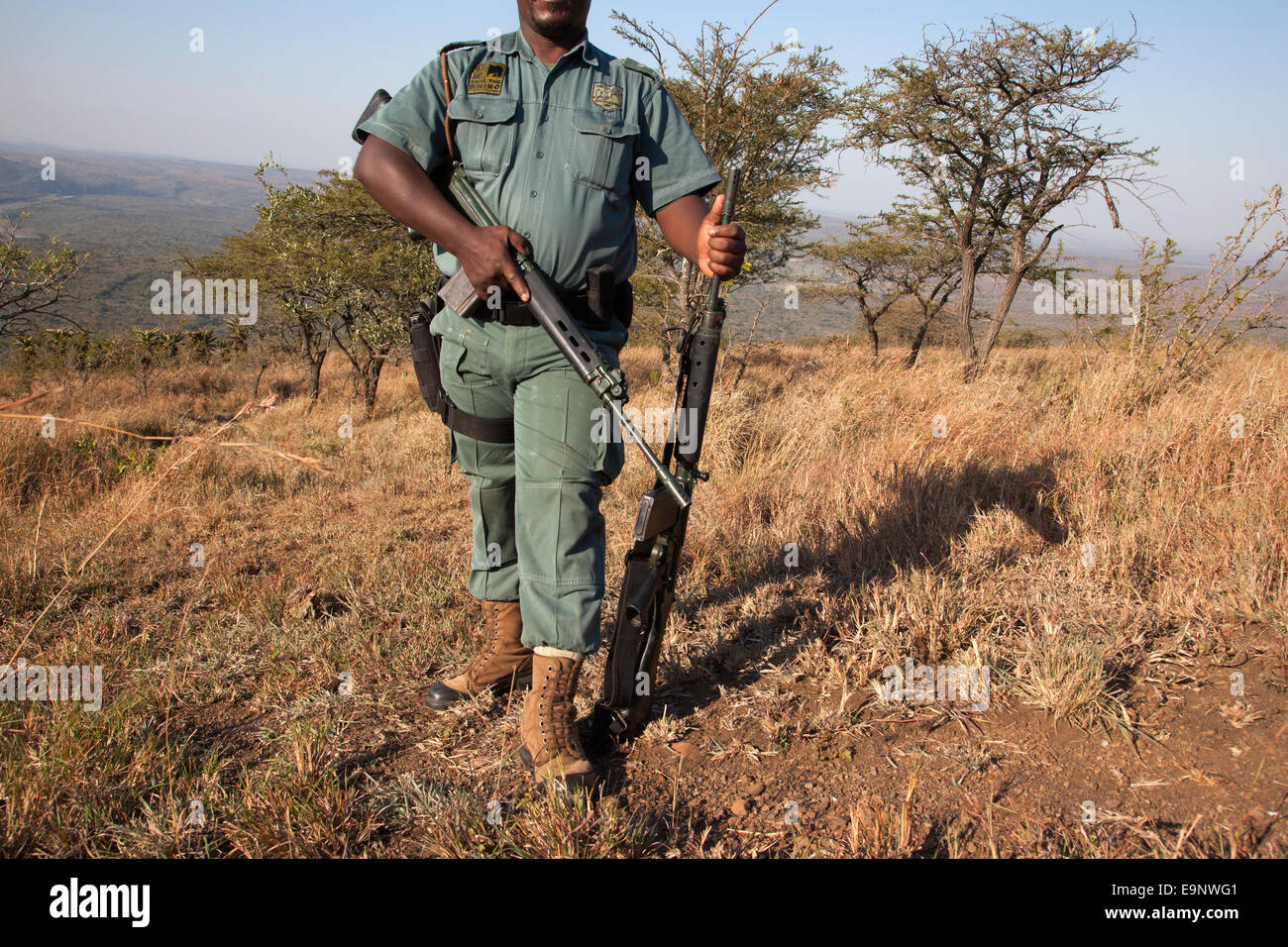 Anti-Wilderer-Einheit Ezemvelo KZN Wildlife-Mitglied iMfolozi Wildreservat, Südafrika Stockfoto