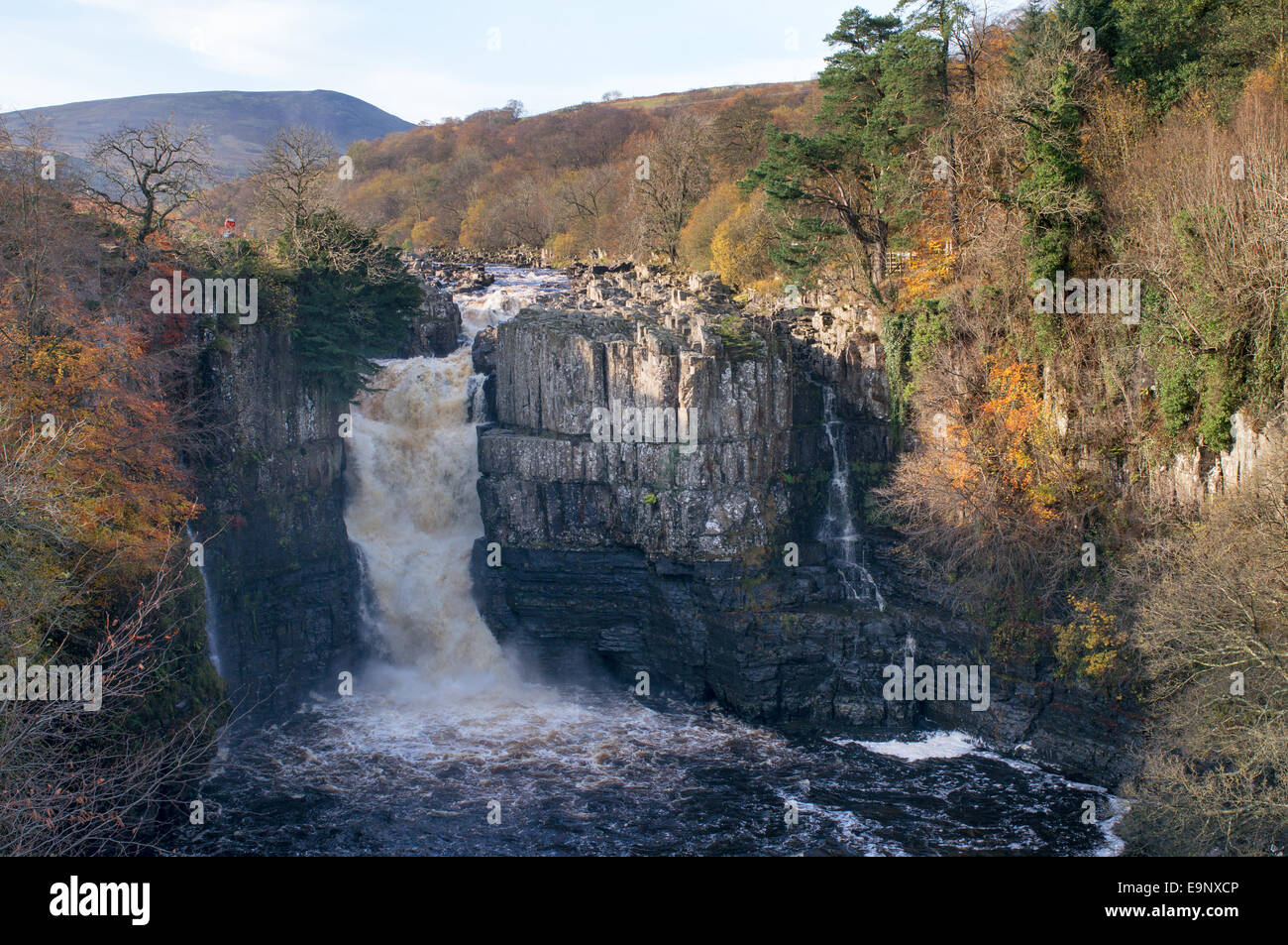 Herbst auf High Force Wasserfall in Teesdale, Nord-Ost-England, UK Stockfoto